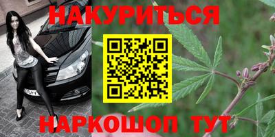 дживик Кингисепп