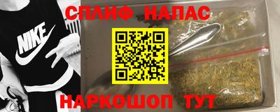 дживик Кингисепп