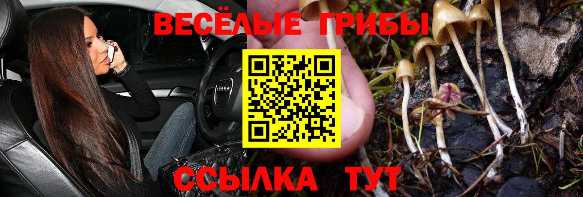 Кузнецк  Галлюциногенные грибы ЛСД  Вход с VPN 