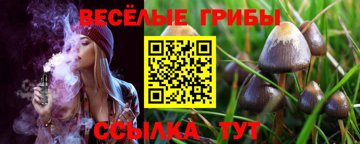 Галлюциногенные грибы мицелий Кузнецк